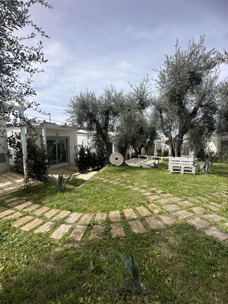 Giardino con ulivi e sentiero pavimentato.