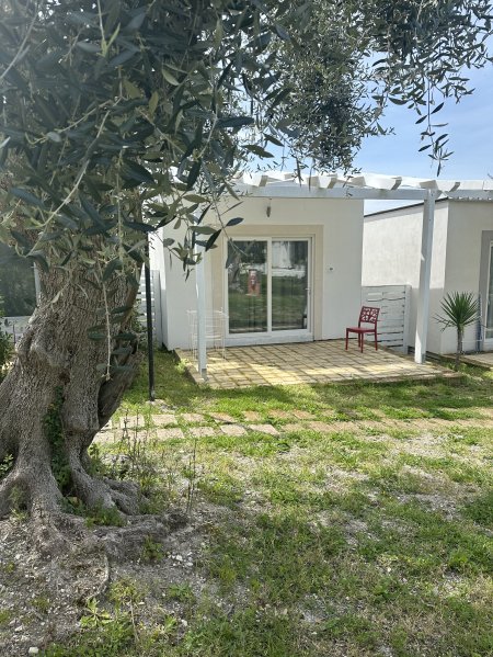 Bungalow bianco con veranda, vicino a un albero.