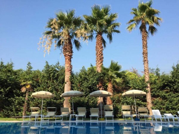 Piscina con lettini sotto palme.