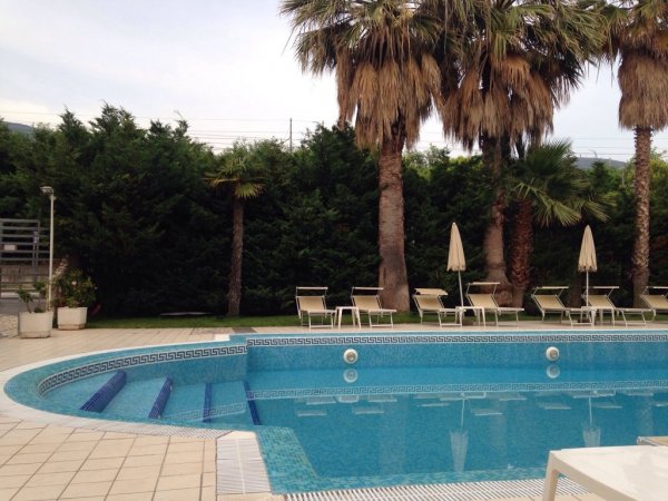 Piscina con lettini e ombrelloni, circondata da palme.
