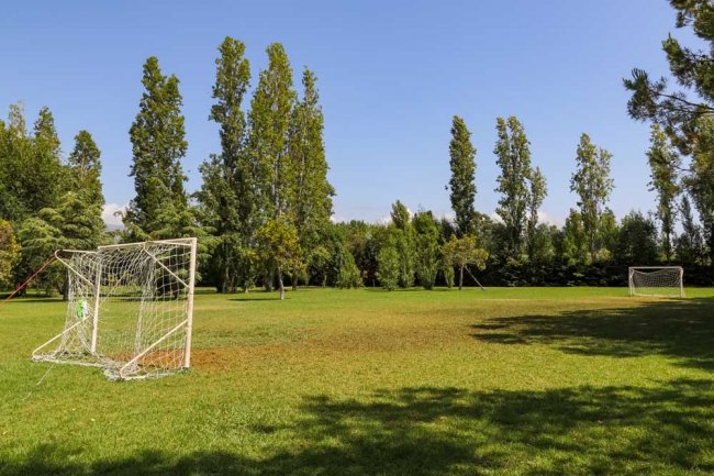 Campo da calcio con erba verde e alberi sullo sfondo.