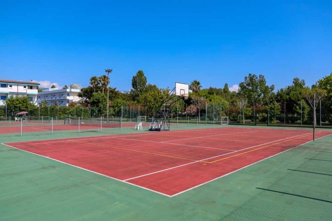 Un campo da basket all'aperto con tabellone e cerchio, circondato da alberi e recinzione.