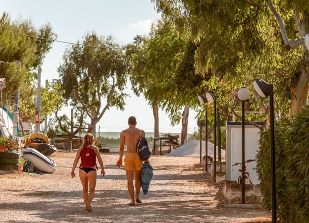 Persone camminano lungo un viale alberato.