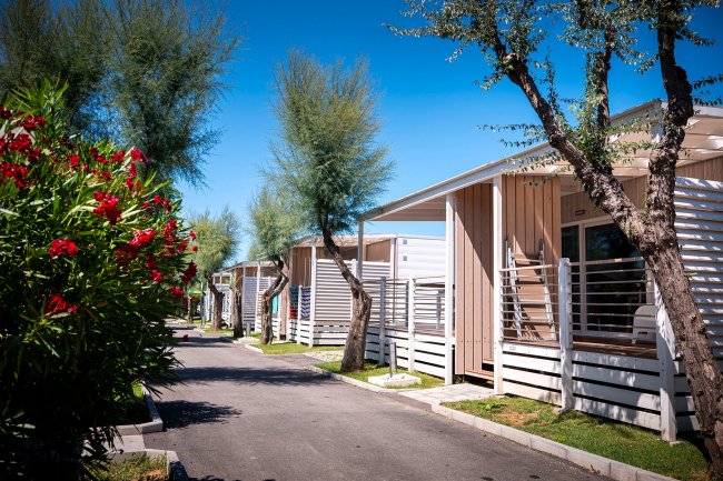 Bungalow in legno lungo un viale alberato.