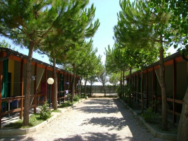 Vialetto alberato tra bungalow con verande.