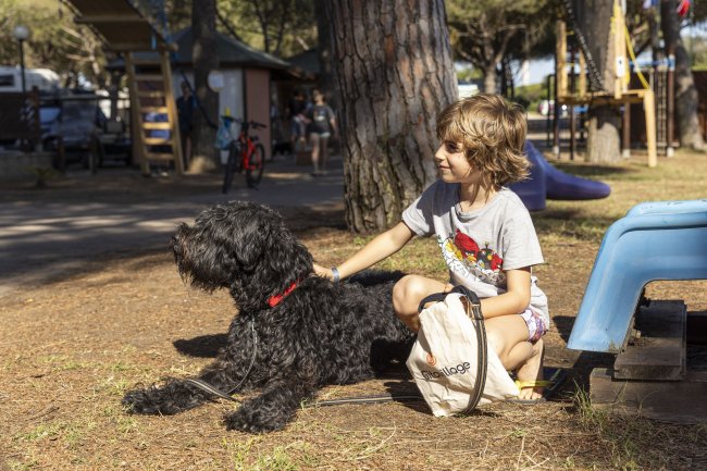 Bambino accarezza un cane in un parco giochi.