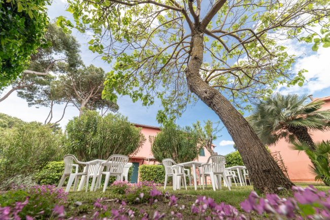 Un giardino con sedie bianche e un grande albero.