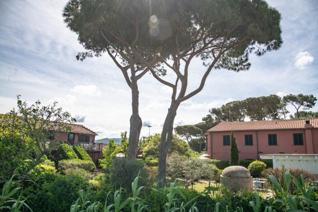 Due case rosa circondate da alberi e cespugli.
