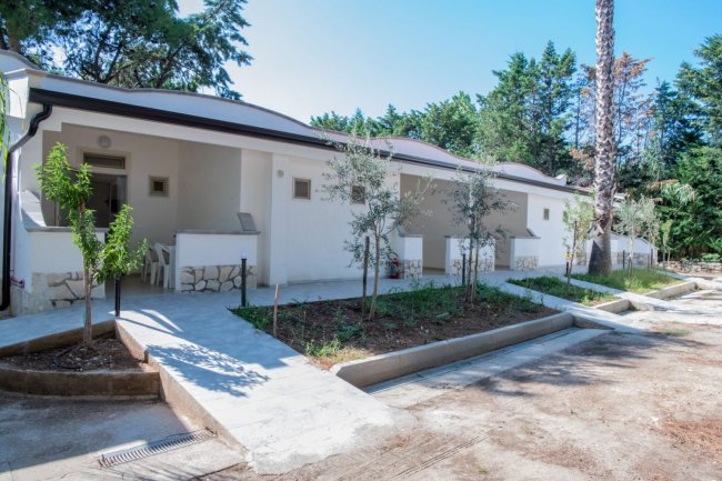 Case a schiera bianche, viali e alberi.