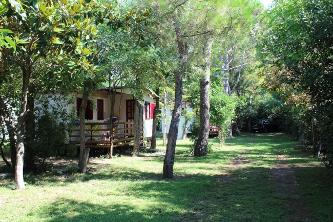 Sentiero erboso tra bungalow fra alberi.