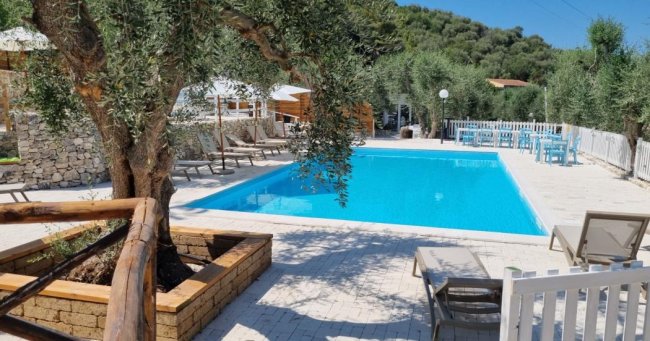 Piscina all'aperto blu, sedie a sdraio e ulivi attorno.