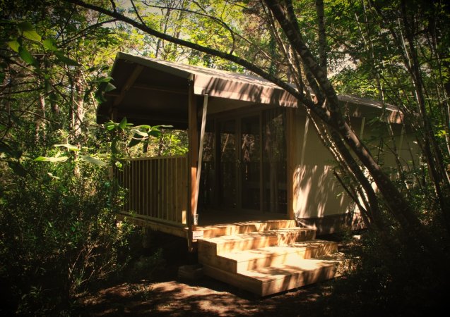 Bungalow illuminato dal sole tra gli alberi.