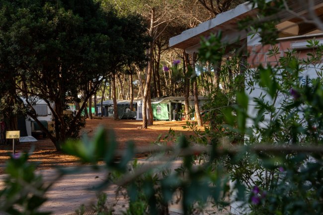 Camping Village Il Sole (GR) Toscana