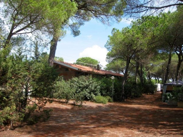 Camping Village Il Sole (GR) Toscana