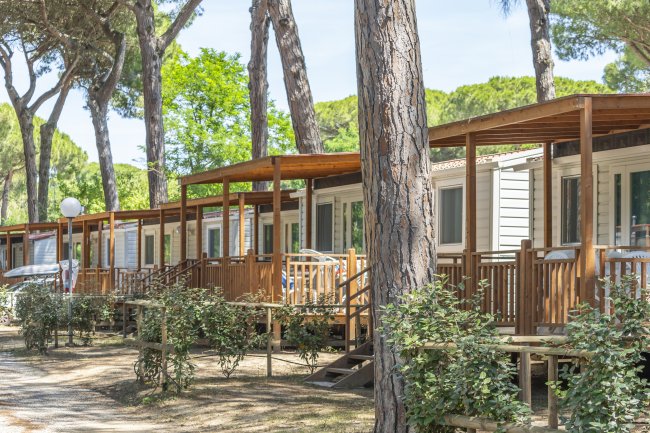 Serie di case mobili in legno tra gli alberi.