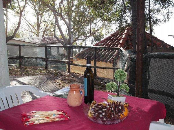 Villaggio Camping Costa Del Mito (SA) Campania