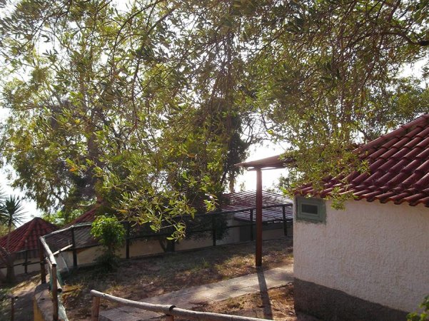 Villaggio Camping Costa Del Mito (SA) Campania