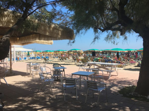 Tavolini e sedie di metallo, ombrelloni e sdraio su una spiaggia alberata.