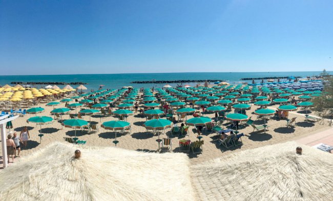 Una vista panoramica su una spiaggia con file ordinate di ombrelloni verdi e il mare sullo sfondo.