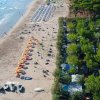 Una spiaggia con ombrelloni accanto a una pineta.