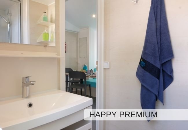 Lavabo con specchio e asciugamano blu.