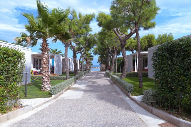 Viale alberato con villette ai lati e vista sul mare.