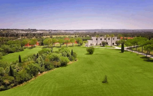 Ampio prato verde con vegetazione e un edificio sullo sfondo.
