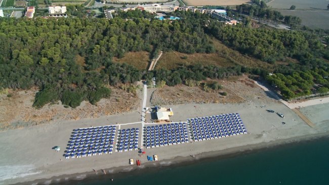 Vista aerea di una spiaggia con file di ombrelloni e vegetazione retrostante.