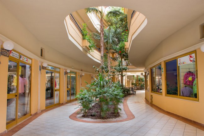 Un corridoio di un centro commerciale con piante al centro e negozi ai lati.