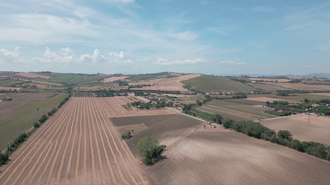 Paesaggio rurale con campi coltivati.