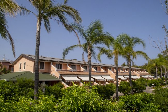 Edifici con tetti rossi e palme in un giardino.