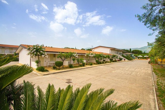 Cortile con edifici bianchi e alberi fioriti.