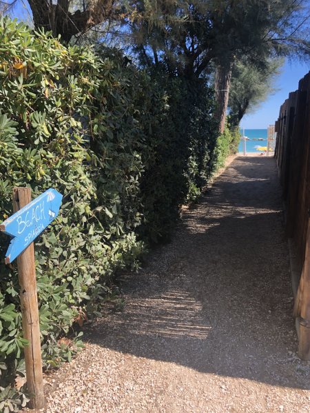 Sentiero stretto tra siepi verso la spiaggia.