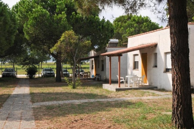 Casa con veranda in un'area verde con alberi.