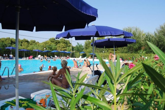 Piscina affollata con ombrelloni blu, sdraio e piante verdi intorno.